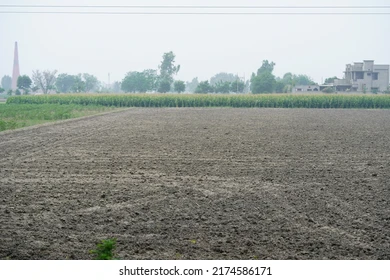 புஞ்சை நிலம் விற்பனைக்கு